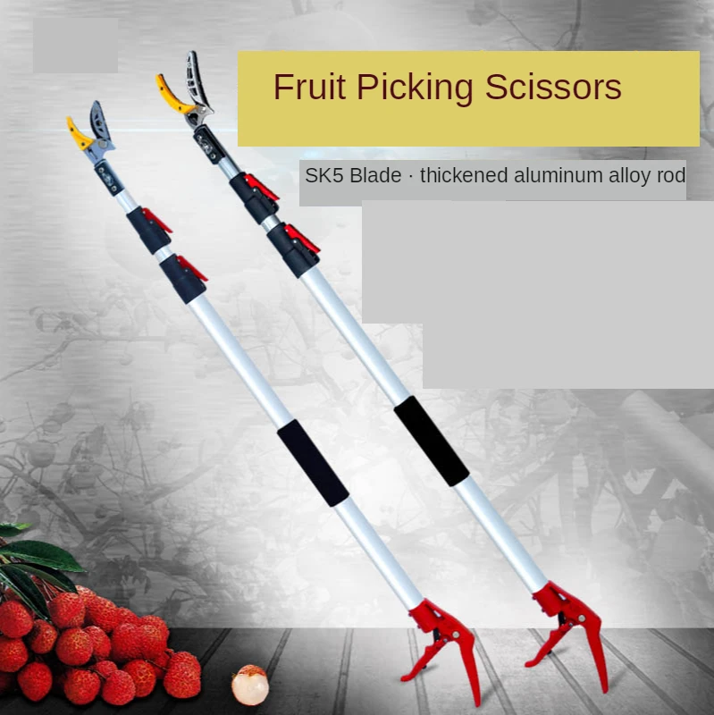 Tijeras de podar de árboles frutales, herramienta de poda de ramas altas, telescópica de jardín, 3 metros de altura mejorada