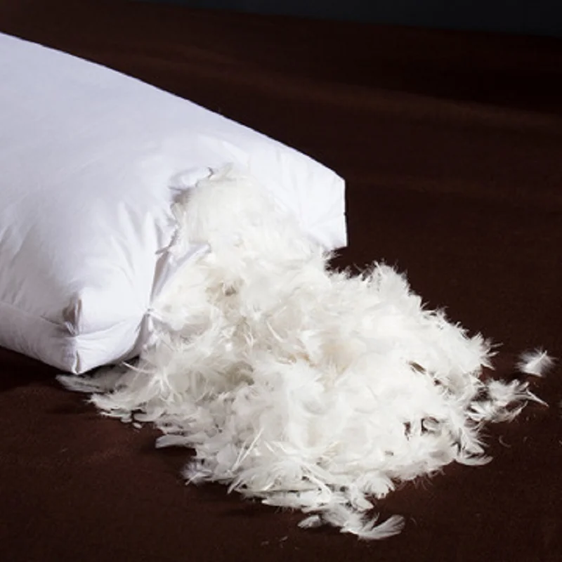 Five Stars 100% Goose Filling Material, 100% Cotton, Height 20cm, 48x74cm, Comfortable, Soft, Elasticity Pillow