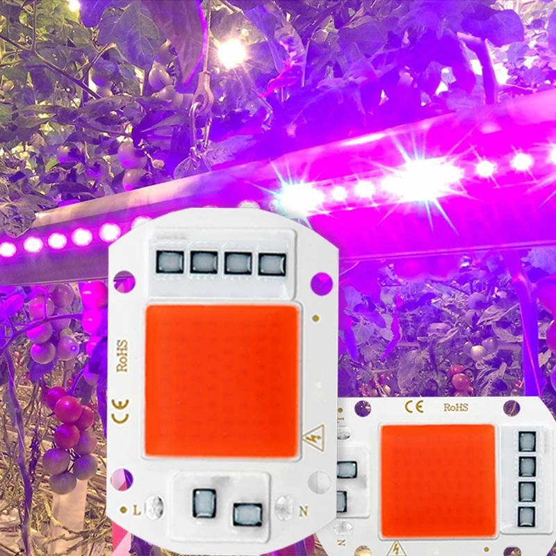 LED Grow Light Full Spectrum COB LED Chip AC 110V 220V No need driver Phyto Lamp For Indoor Plant Light Seedling Grow Lamp