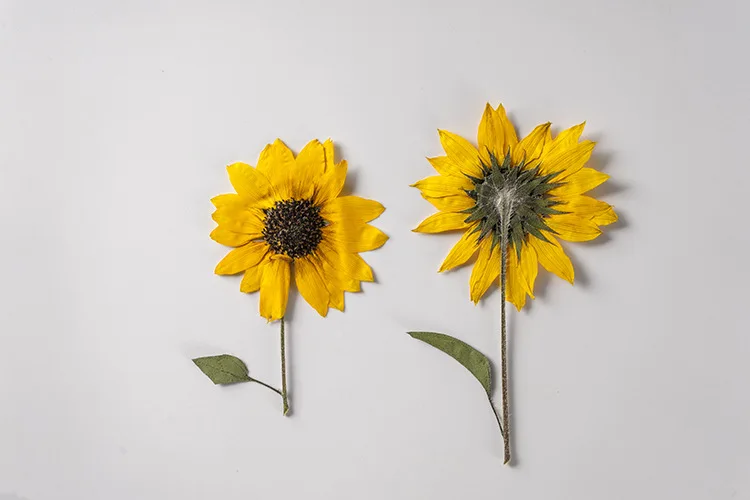 2 Stück/5–6 cm Blütenkopf, Ture Pressed Mini-Sonnenblumenzweig, geprägter Pflanzen-Tropfenkleber, Handyschale, DIY-Lesezeichen, Kartenmaterial – Detail 2