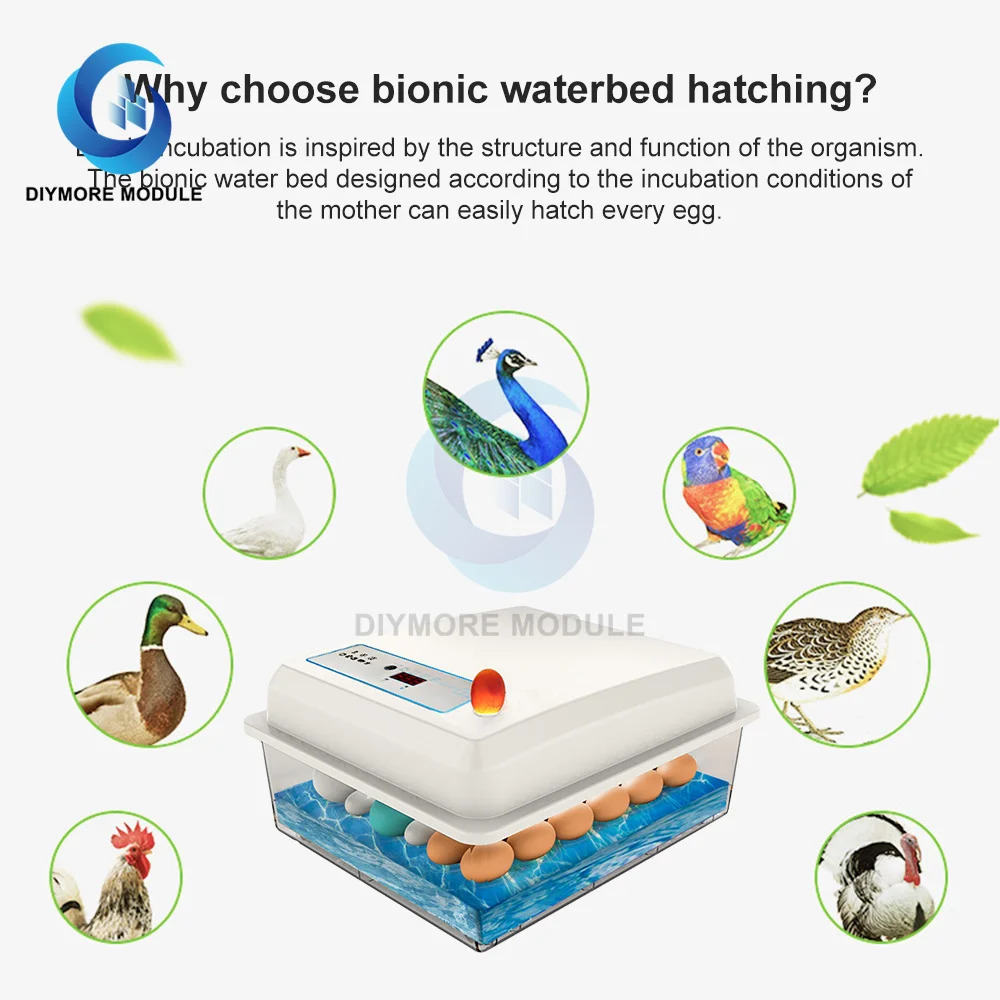 20-50 eggs household incubator small plastic bionic water bed incubator automatic temperature control egg incubator 220v US-plug