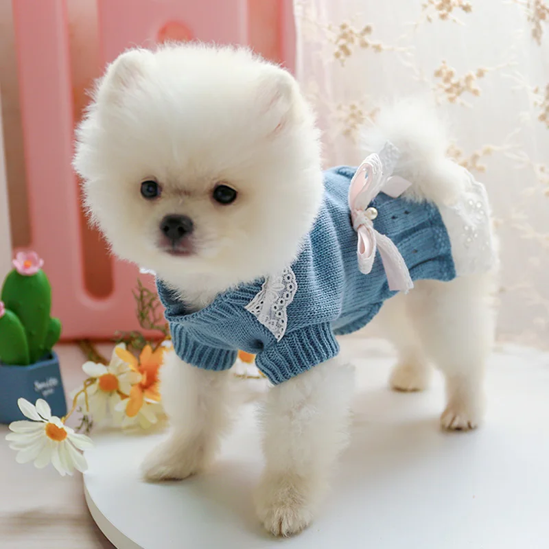 Autumn Warm Pet Dog Sweater Dress for Small Cats Dogs Puppies Bichon Yorkie Comfortable Pet Hollow Out Lace Bow Knit Sweater