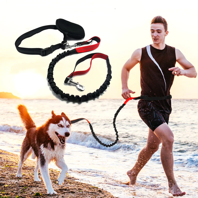 

Dog running rope Waist belt jogging pet Elastic leash golden retriever chain medium large dog supplies Reflective sethands Free