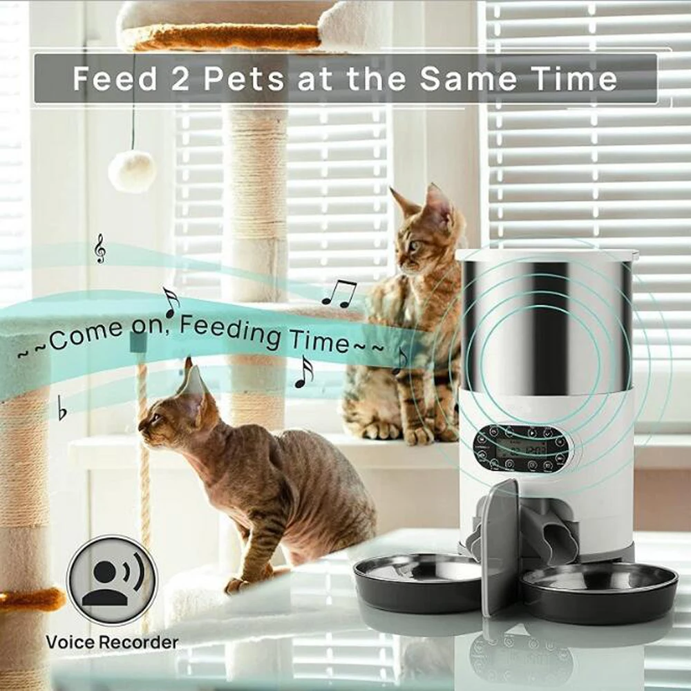 Imagem -04 - Stainless Steel Pet Food Dispenser com Tempo de Gravação Smart App Alimentador Automático para Cães e Gatos