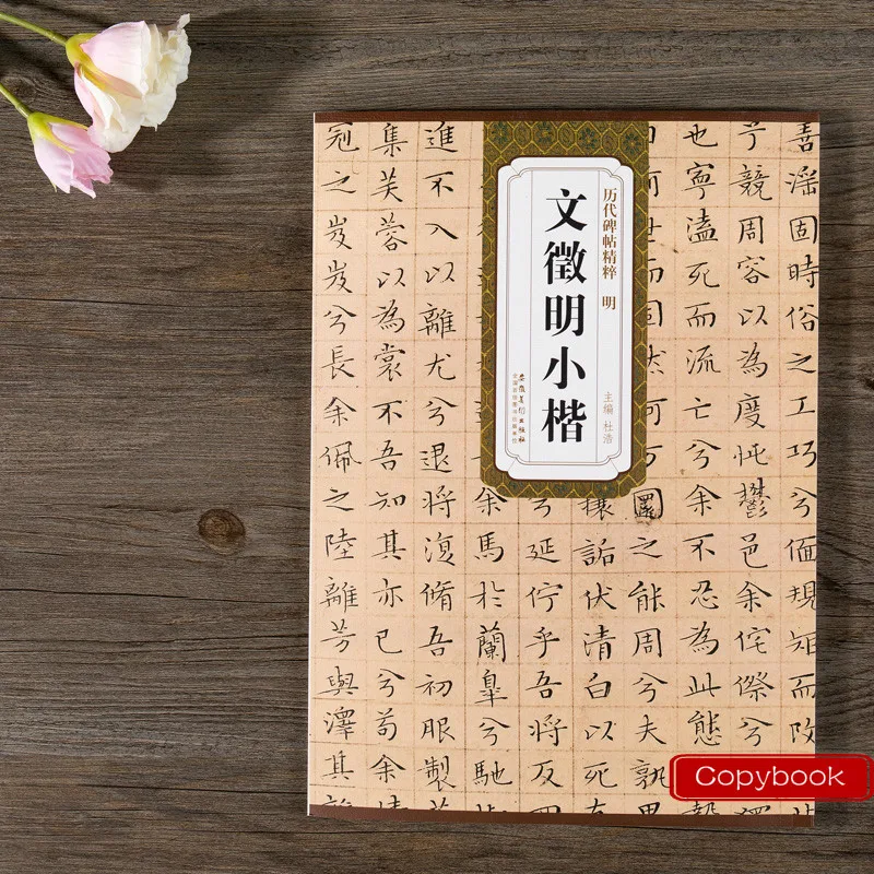 Copybook Chinese Small Regular Script Calligraphy Copybook the Rubbing Copybook from Stone Inscription Calligraphy Practice