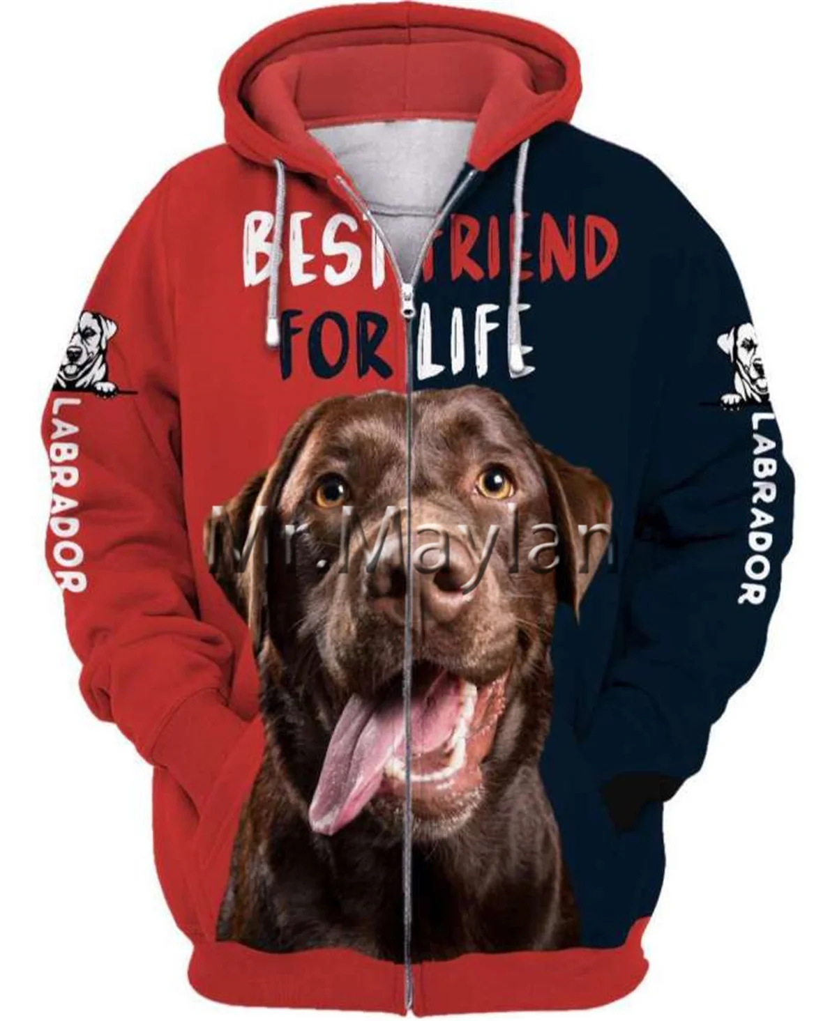 Sweat-shirt à capuche unisexe avec image en 3D pour homme et femme, pull-over décontracté, dessin d'animaux, chien, Art brun Labrador, R090