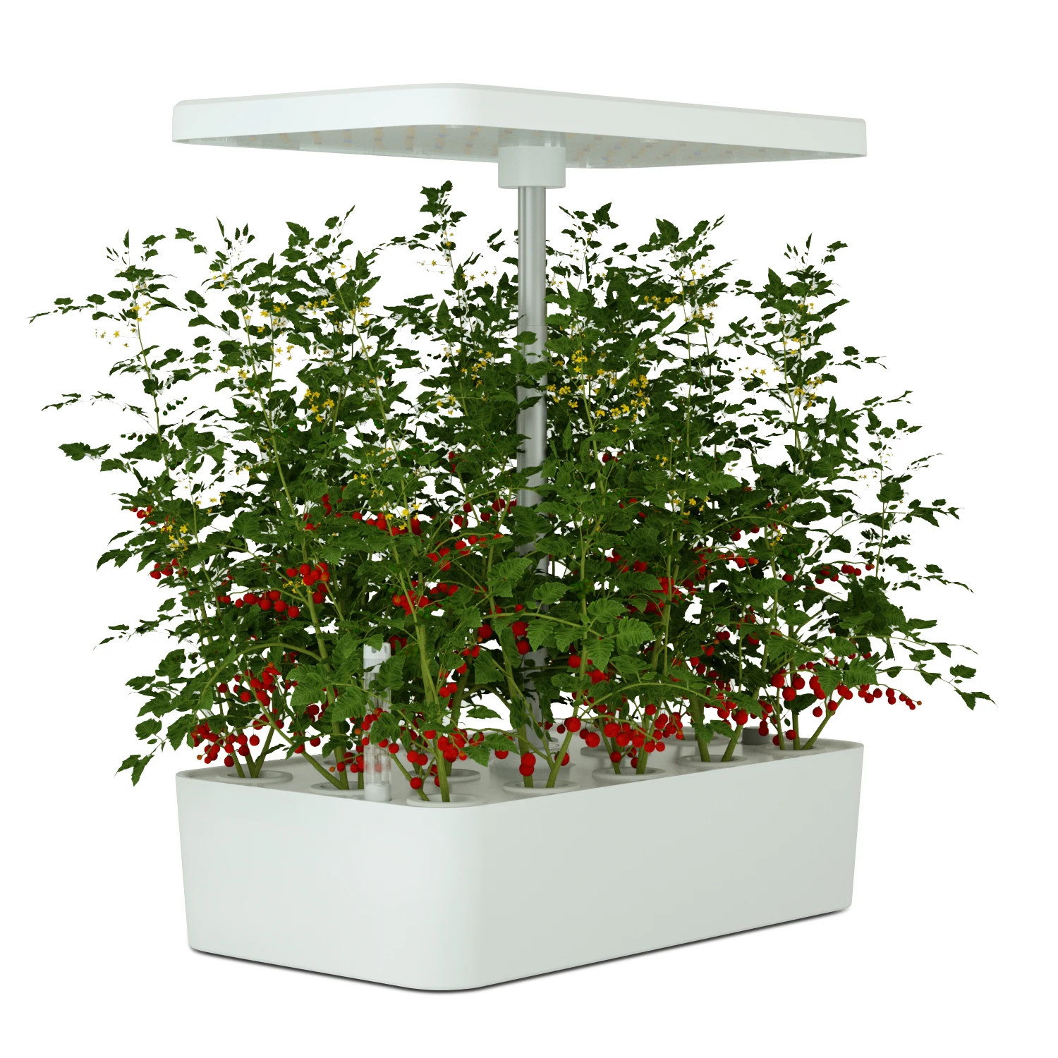 Modern Design Automatic Hydroponic System with LED Grow Lights Real Indoor Urban Garden