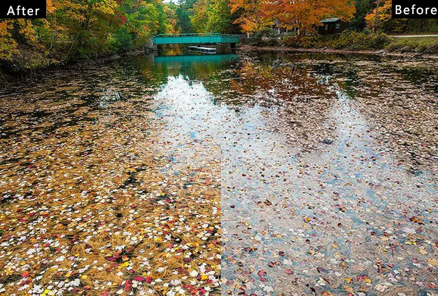 NOVO Hoya HMC UV (c) 77 Mm Filtro Slim Frame Digital MultiRevestido MC UV C para Lente de Câmera A-UVC HOYA