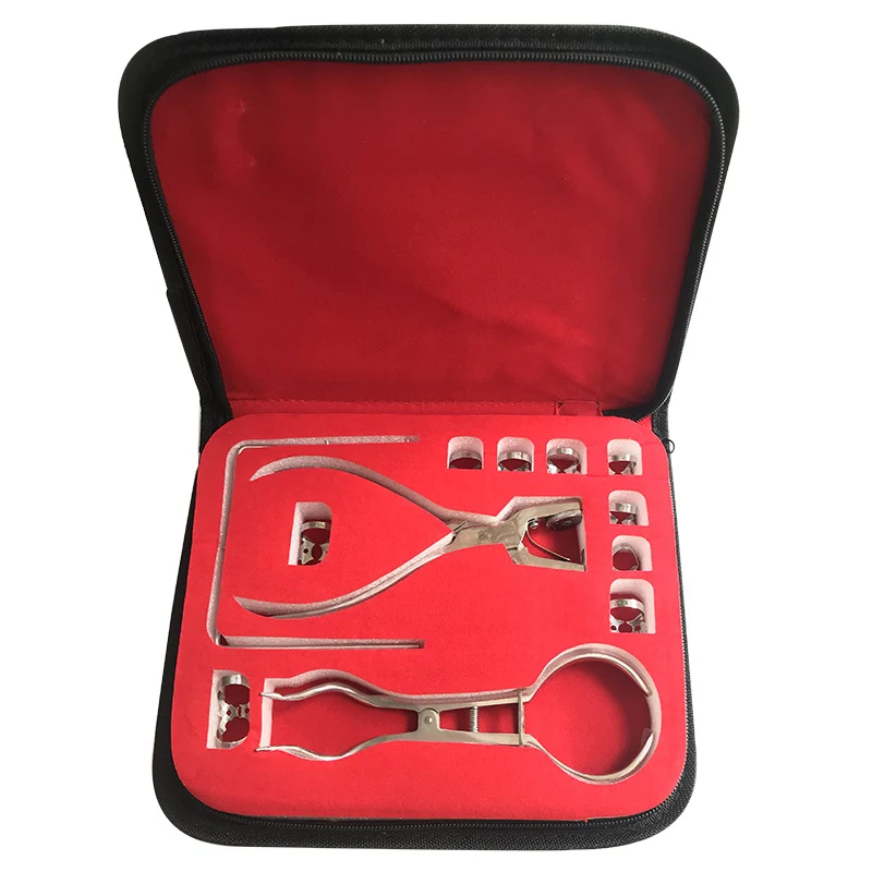 

1 Set Dental Rubber Dam Perforator Puncher Teeth Care Pliers Orthodontic Material Dentist Lab Device Equipment With Storage Bag