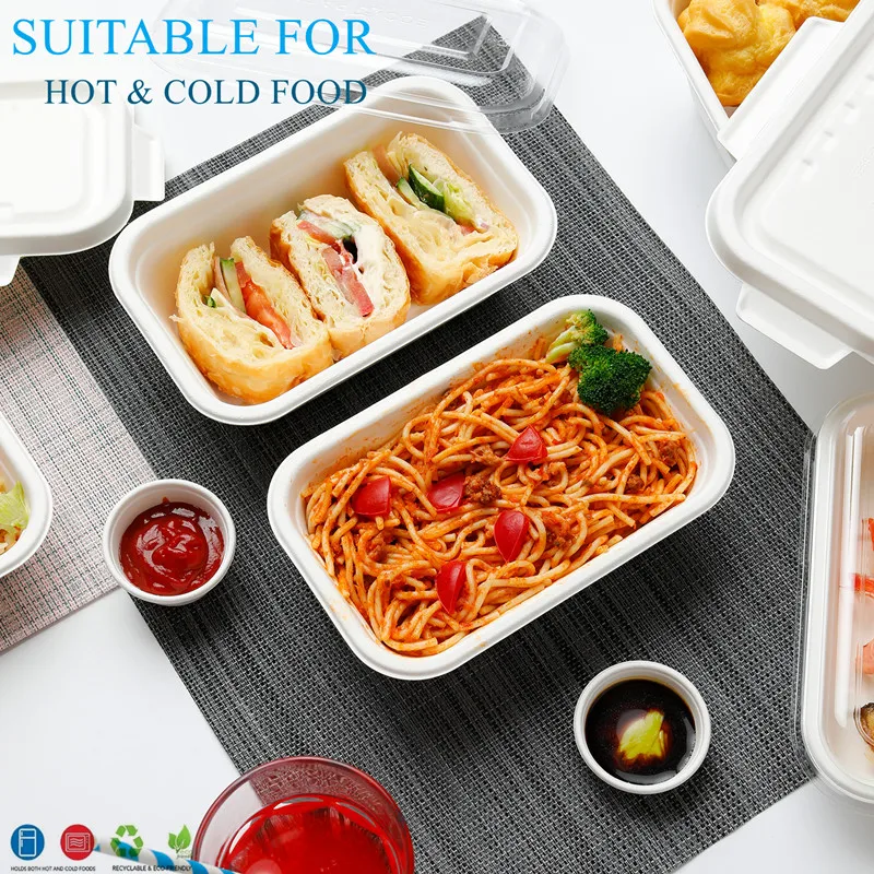 Sugarcane Bagasse Compostable Rectangle Container with 2 Lids Sushi Disposable Meal Prep Takeout Box Food Tray