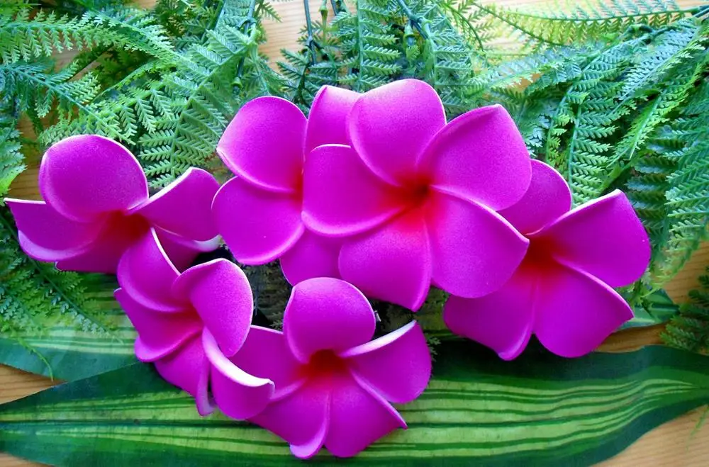 Free Shipping F1125  100pcs/ lot  5CM&7CM  Foam tiare hair pick  women wear hair accessories Hawaii tropical flower