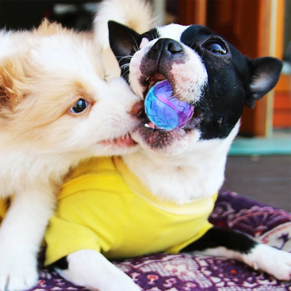 2 stücke Haustier Hund Quietschende Spielzeug Ball Tennis Ball Interaktive Hund Spielzeug Hohe Bounce Sound Gummi Ball für Hund Training im freien Spielen Ball – Detail 6