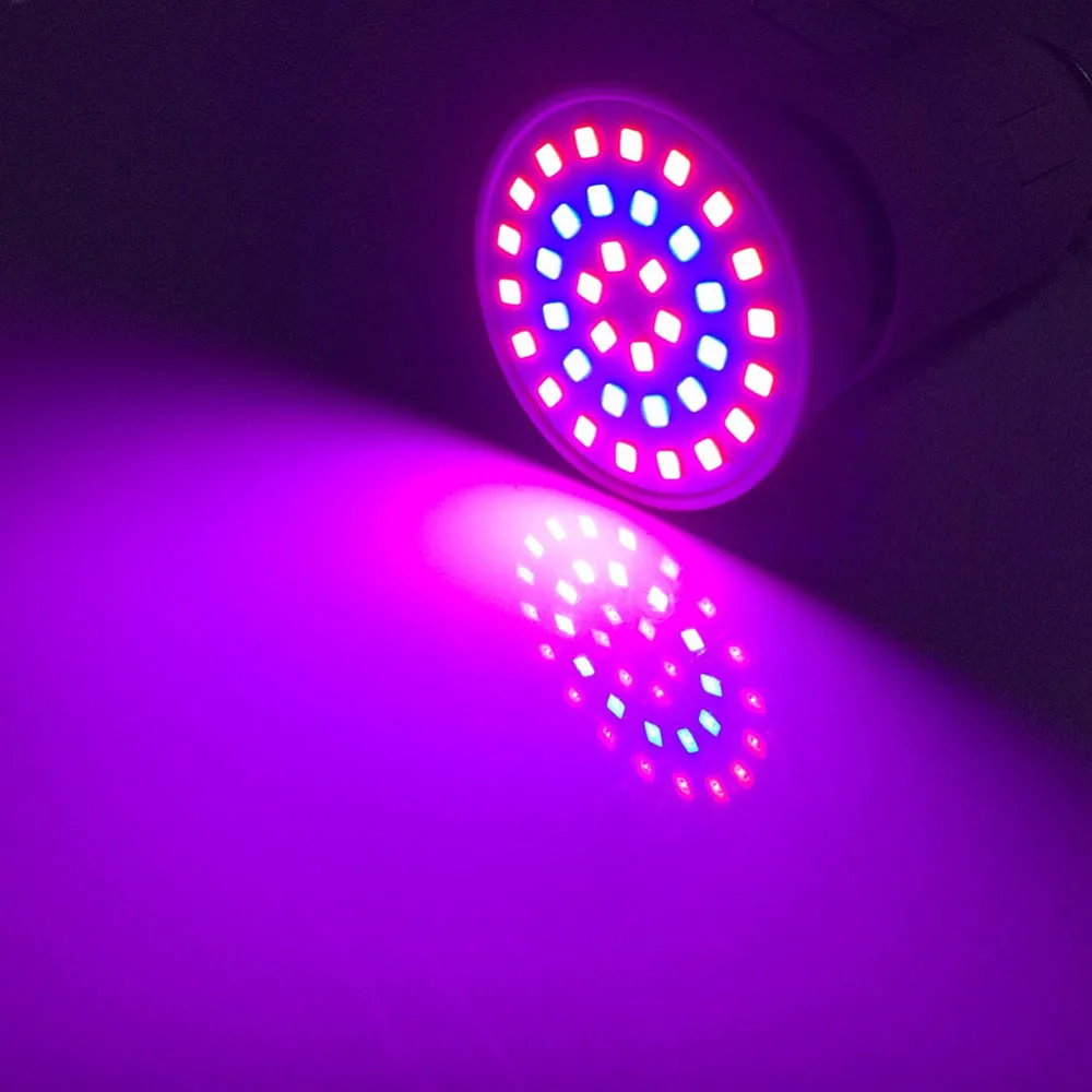 3 tipos de bombillas LED para cultivo de flores y plantas, bombillas LED para cultivo en invernadero, para sistema hidropónico de interior, lámpara