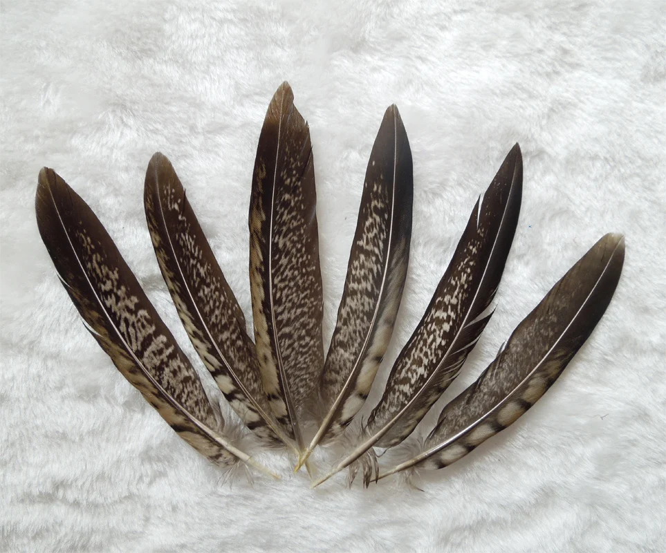 10Pcs  Natural Pheasant Feathers for Crafts Jewerly Making Wedding Home Decoration LADY AMHERST PHEASANT Tai Plumes,