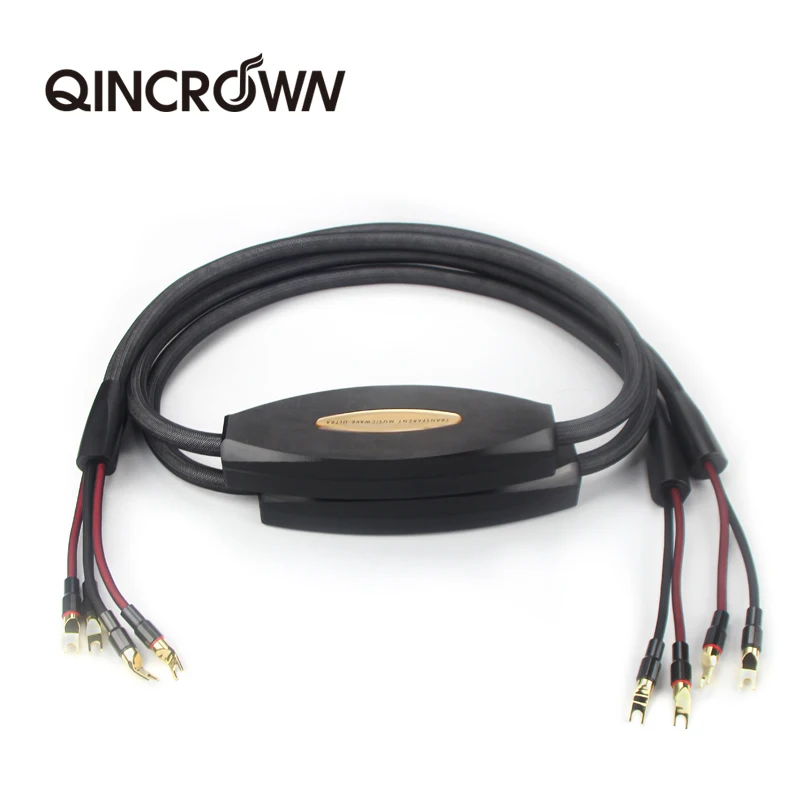 QINCRQWNHIFI Tianxian with loudspeaker cable