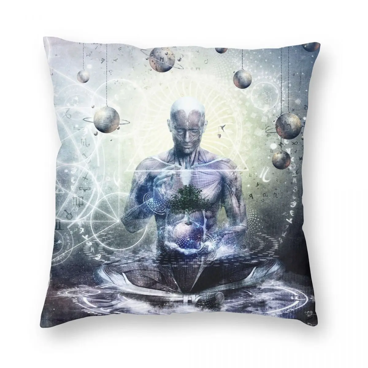 Experience Lucid Discovery Clear Pillowcase Polyester Linen Velvet Printed Zip Decor Pillow Case Room Cushion Cover 45x45