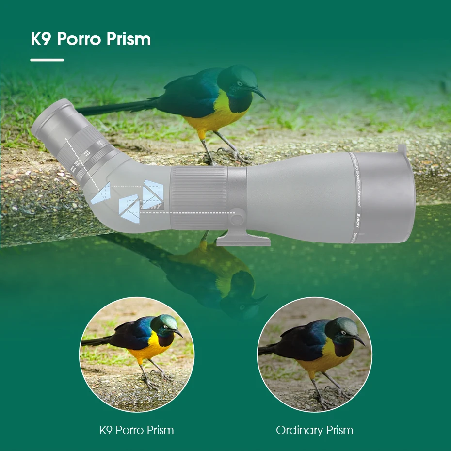 Svbony SA401 APO Spektiv 20-60X85/25-75X100 ED Teleskop Leistungsstarkes wasserdichtes Campingausrüstung Vogelbeobachtungsteleskop – Detail 13