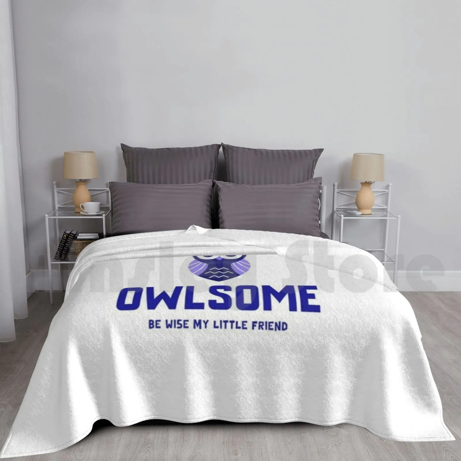

Owlsome Be Wise My Little Friend Blanket Super Soft Warm Light Thin Owl Friend Movie Kids Children Funny Cool Happy