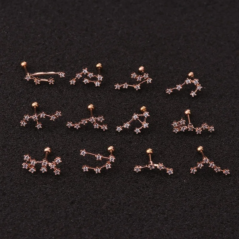 1Pc Stainless Steel Twelve Constellation Ear Piercing Jewelry for Women Cz Cartilage Helix Lobe Screw Back Stud Earrings