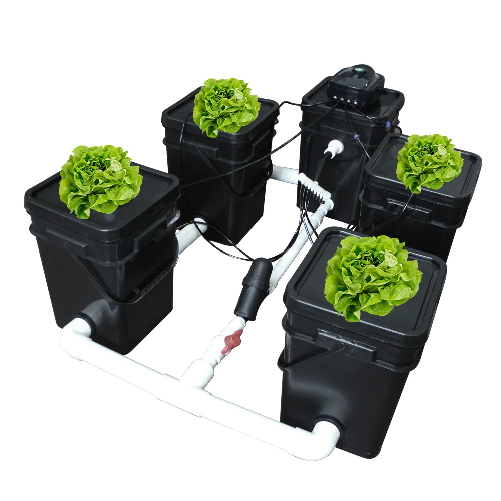 

plant hydroponics system RDWC clone bucket drip irrigation 4 buckets air pump and cycle pump