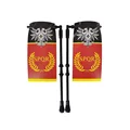 Bandera de Roma