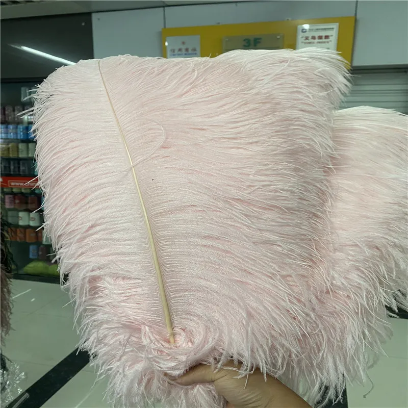 

Hot Sale 100pcs/lot Pale pink ostrich feather 22-24 inches/55-60cm For diy dancers Jewelry carnival plumes plumas