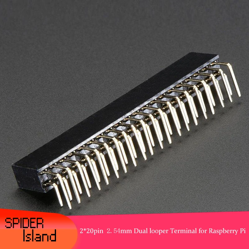 

90 degree Dual Ports 2*20 pin Female Terminal Connector for Raspberry Pi Board 2.54mm Dual Curved Legs