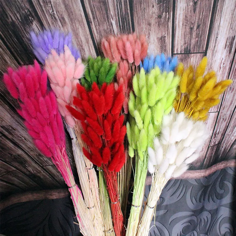 

60pcs bunch Colorful Rabbit Tail Grass Rabbit Tail Dried Flower Bouquet Plant Stem Material Home Decoration Flower Decoration