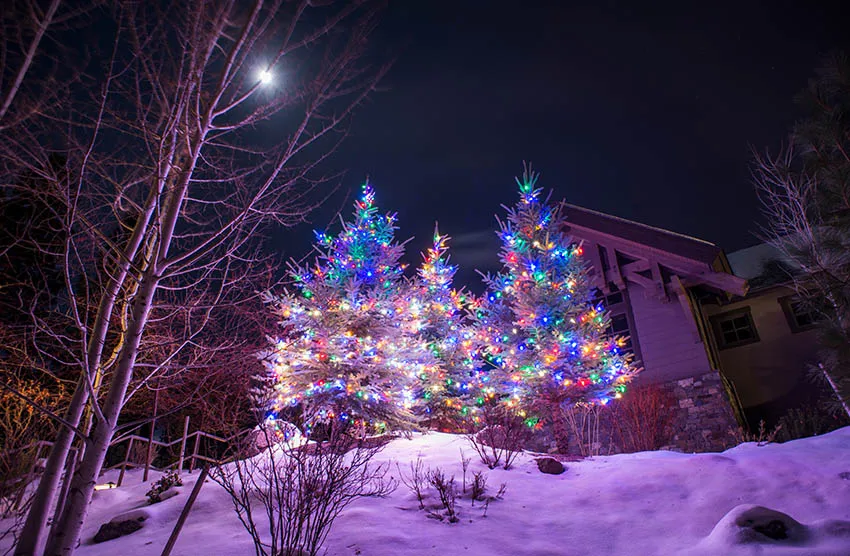 Winter Christmas Photography Background Snow Forest Wonderland Newborn Photography Props 1st Birthday Girl Birthday Decoration