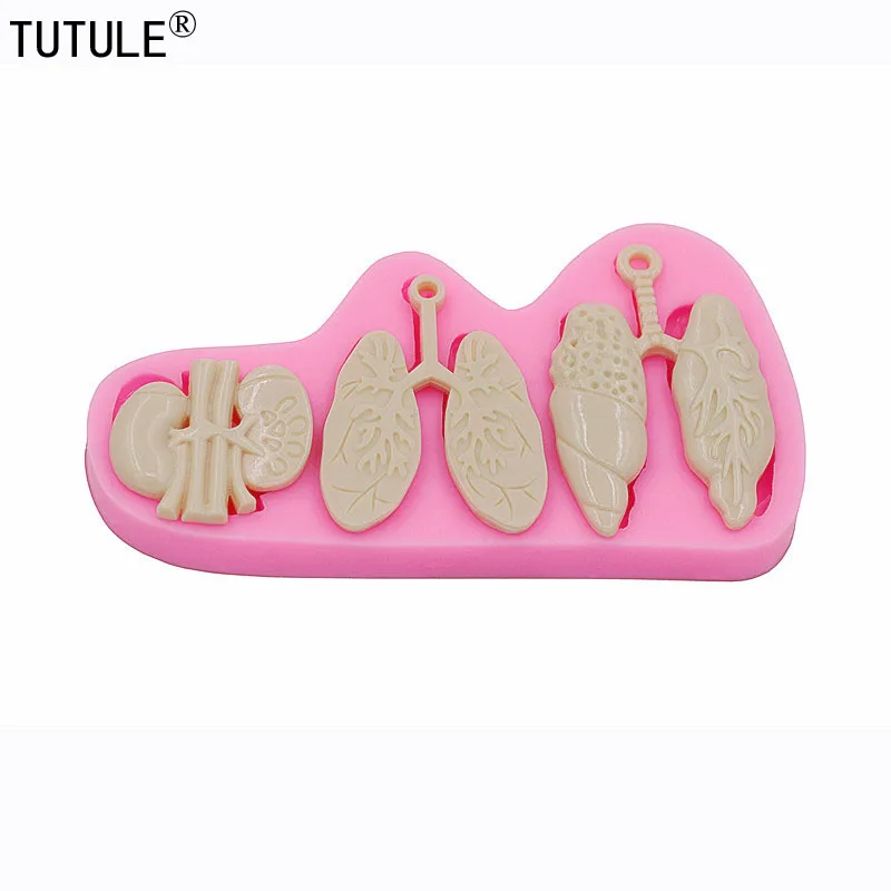 Рисунок 3 - Формы для легких