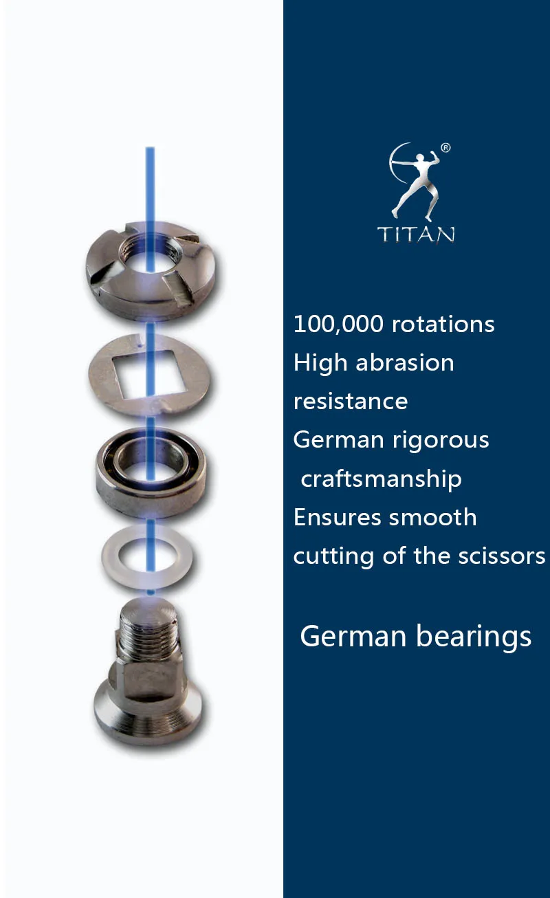 Titan 6 Zoll Effilierschere aus Edelstahl für Friseursalons – Detail 14