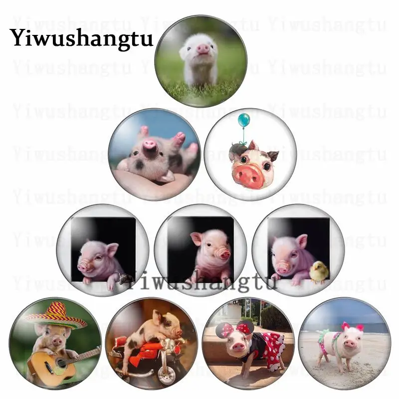 

Cute cartoon pig animals pattern 12mm/18mm/20mm/25mm Round photo glass cabochon demo flat back Making findings