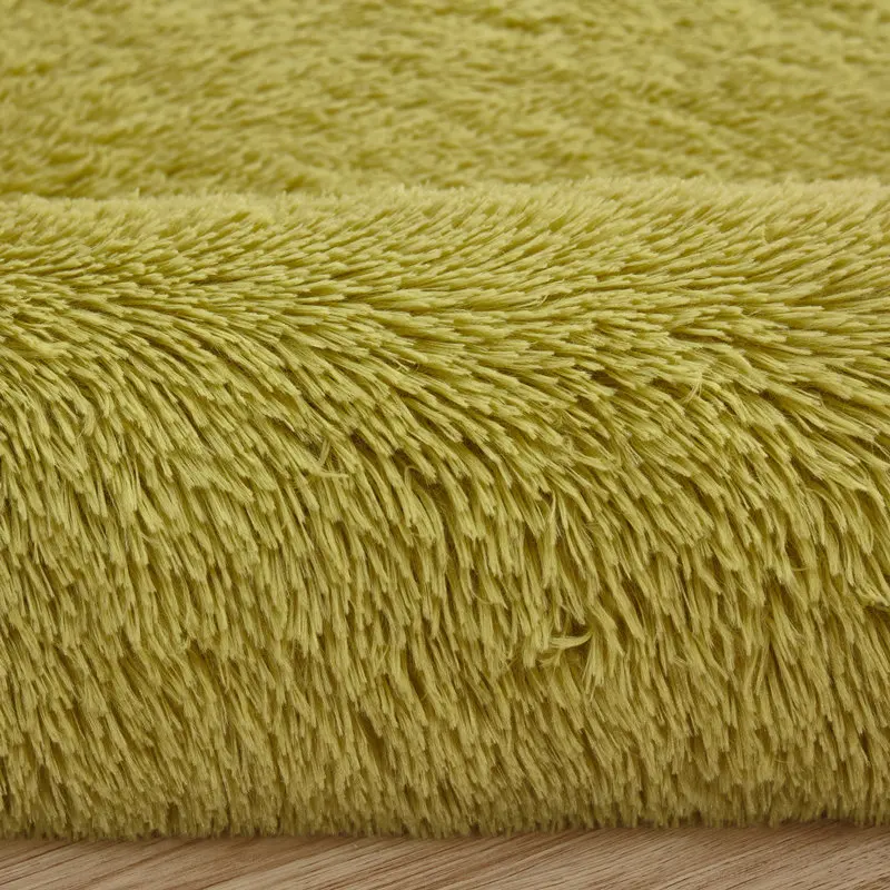 Plush Soft Carpet Livingroom Fur Shaggy Bedroom Carpets Kids Room Large Area Rug for Bay Window Sofa Coffee Table Floor Mat Rugs