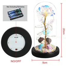 Galaxy Rose LED Dome Gift #2