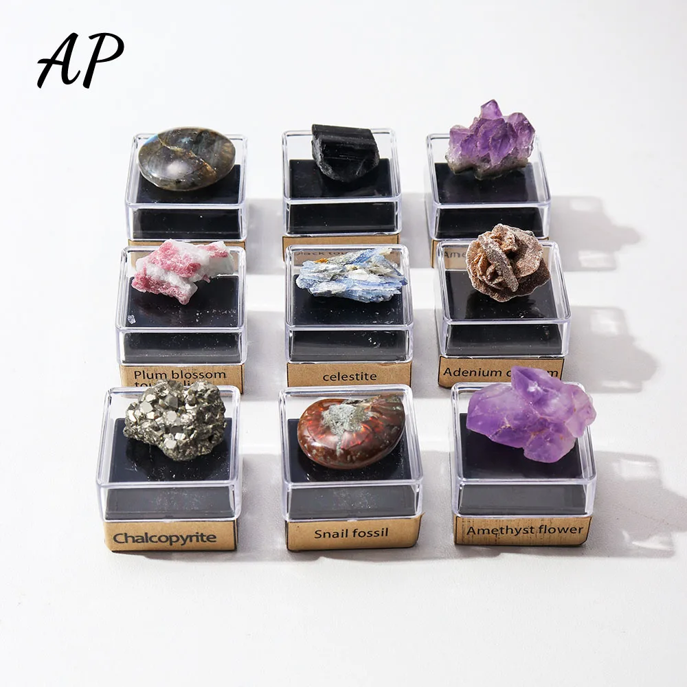 Ensemble de pierres de Quartz brut en cristal naturel, bloc d'améthyste, énergie de santé, boîte-cadeau de collecte d'échantillons minéraux