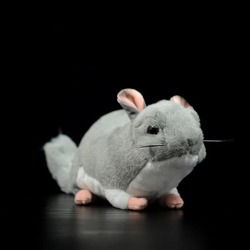 

Cute Chinchillidae Chinchillas lanigera Molina Real Life Plush Toys Soft Stuffed Doll Lifelike Animal Kids Kawaii Christmas Gift