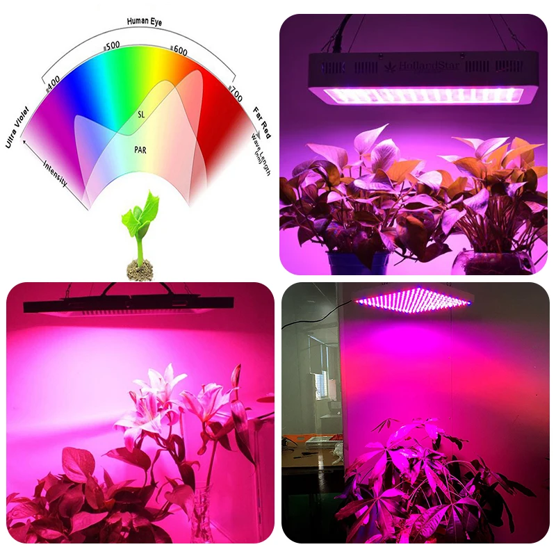 10pcs 3W LED 400nm-840nm Full Spectrum Beads Chip 45mil 700mA Plant Lights 20mm Board With 6-10X3W Inside or External Driver