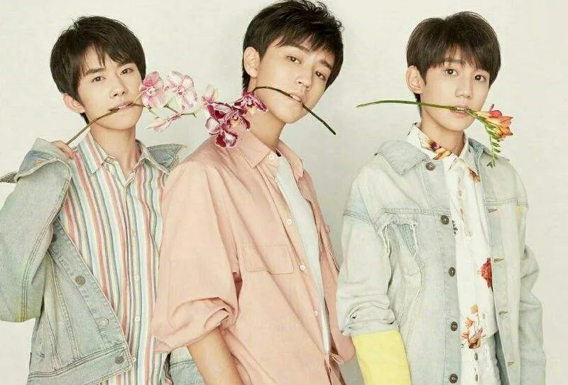 TFBOYS Karry Roy Jackson Chinese Male Singer Team China Pop Music 200 MP3 Songs Collection USB Flash Disk 16GB 32GB 64GB 128GB image 2