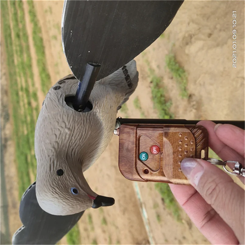 Imagem -06 - Caça Pigeon Live Dove Decoy com Controle Remoto 2023