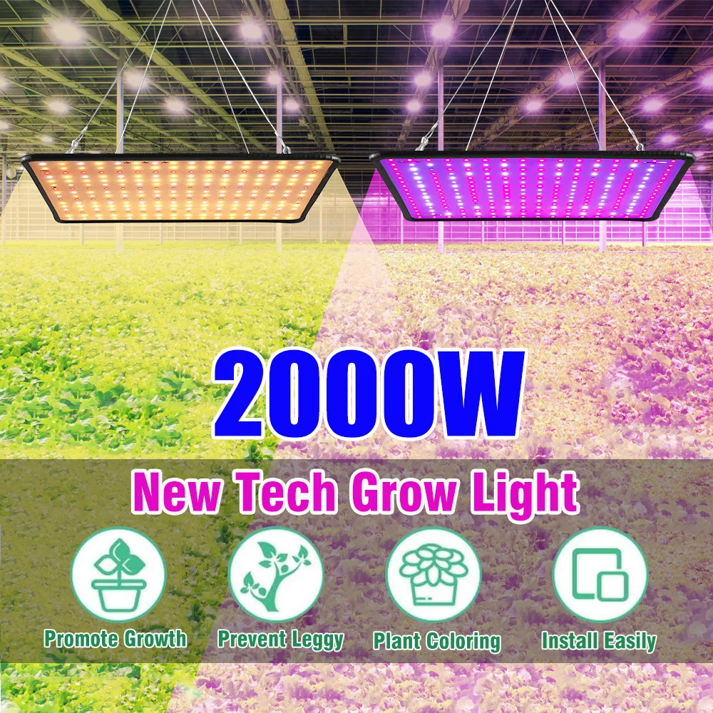 2000W LED 성장 조명 식물 성장 램프, 전체 스펙트럼 자연 햇빛 패널 실내 식물 꽃 채소 성장을 위한 피토 램프