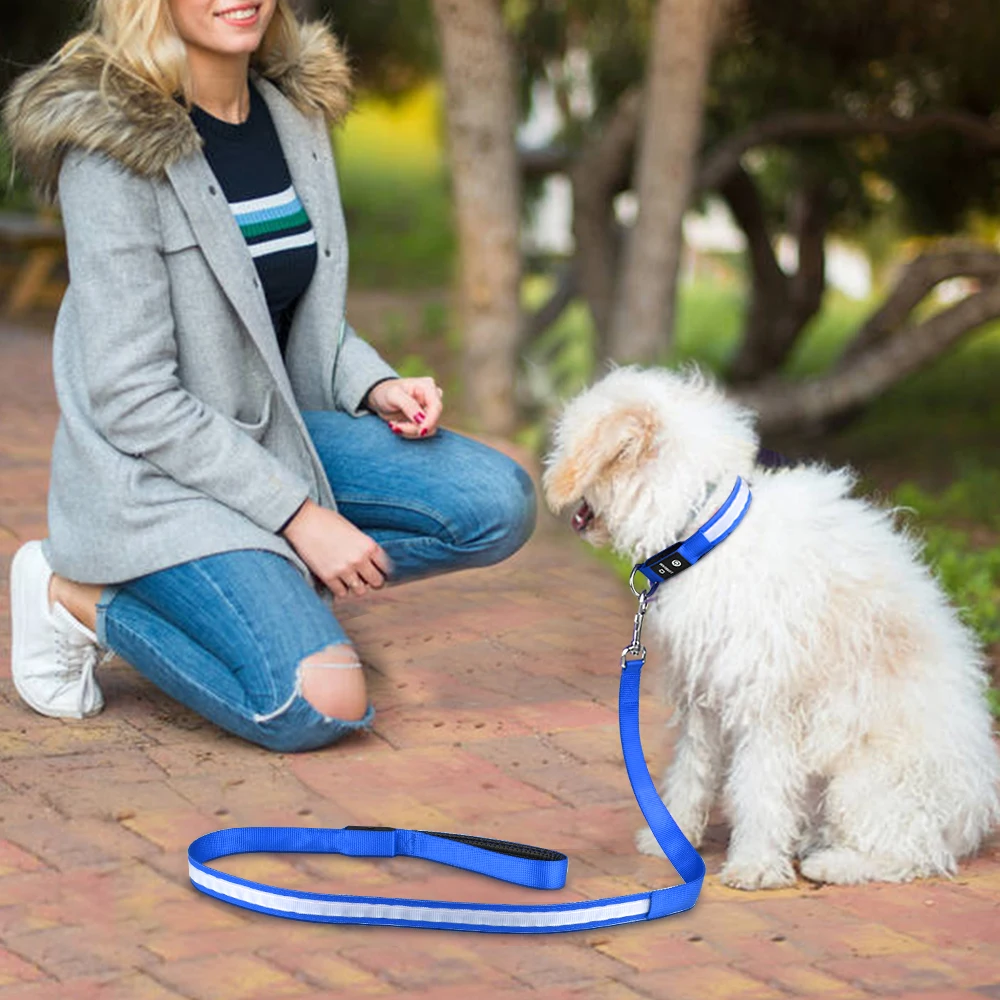 MASBRILL LED Dog Leash USB Rechargeable Pet Leash Reflective Nylon Mesh Soft Padded Walking Training Visible & Safe water proof