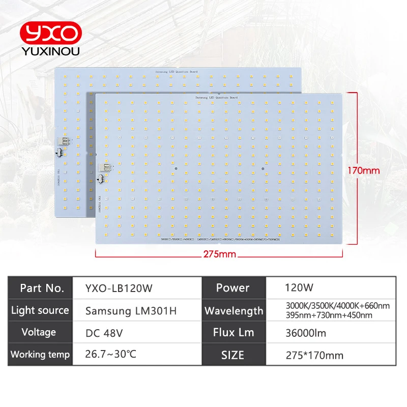 Sam-sung-tablero de luz led quantum QB288, LM301H, 3000K, 3500K, 660nm, UV, IR, 120w, 240w, para cultivo de plantas y verduras