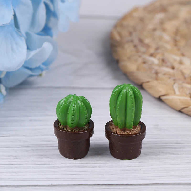 5pc/set Dollhouse Miniature Cactus Plant Micro Landscape Decorative Miniature Figurines DIY Potted Garden Home Decor