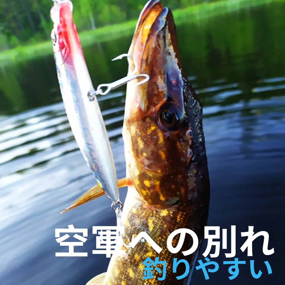 طُعم صيد أسماك البلمة العائمة، حجم الطعم، نظام المغناطيس، احترافي، نموذج ساخن، جودة، 9 سم، 10 جرام، عمق 0.9 متر، جديد