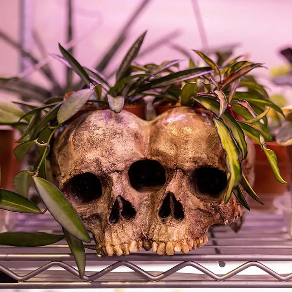 Creative Flowerpot Hand Carved Skull Flower Pot Bowl Home Garden Halloween Decoration Drop Shipping Courtyard Decoration