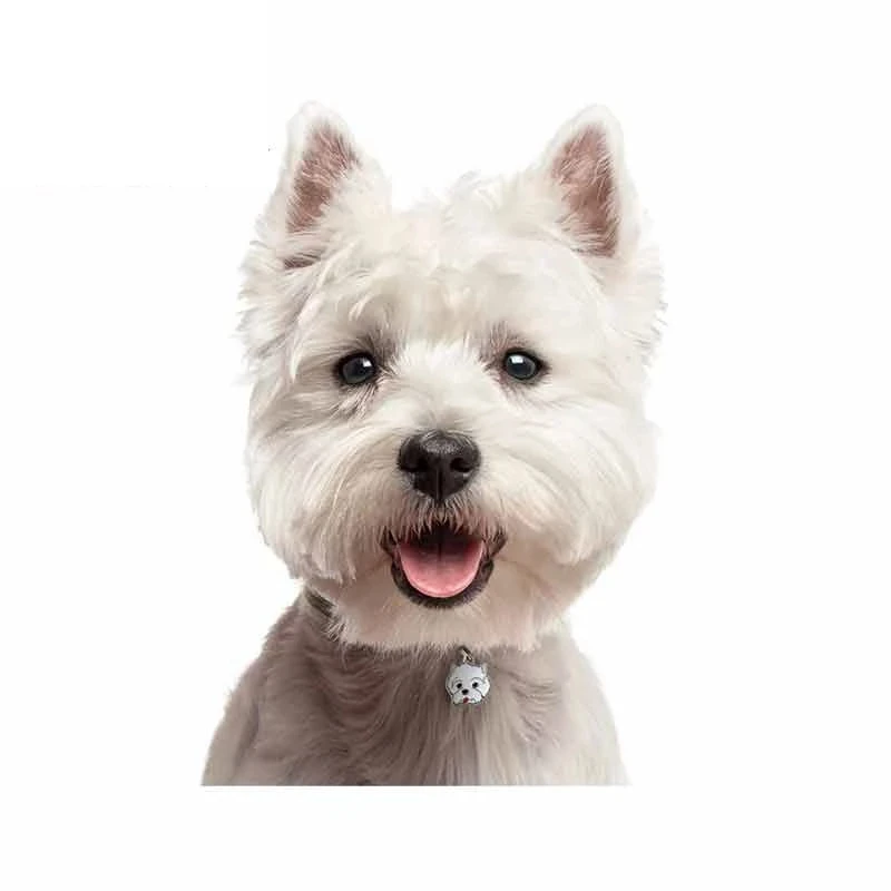 S50083# 13CM/15CM/17CM Personality PVC Decal West Highland White Terrier Car Sticker on Motorcycle Laptop Decorative Accessories