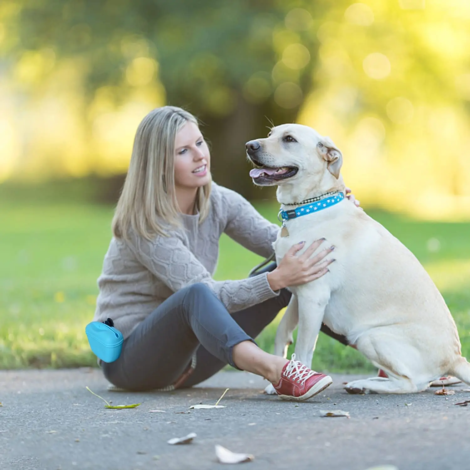 Riñonera de silicona para entrenamiento de mascotas, bolsa de entrenamiento para perros, para caminar, agilidad de obediencia, almacenamiento de alimentación al aire libre, recompensa de comida