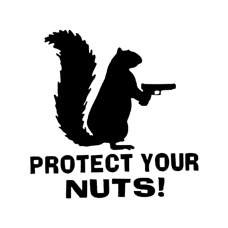 HZX1178 15x15cm squirrel protect your nuts car sticker commemorate Vinyl Decals Motorcycle Accessories Stickers