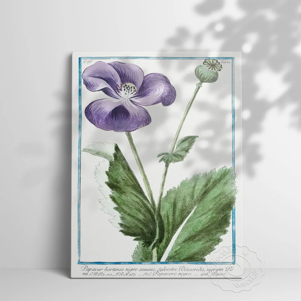 Pôster de Giorgio Bonelli, Papaver Hortense Nigro Seme Sylvestre impressões em tela, imagem de parede de folha de flor roxa, decoração de parede de plantas