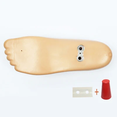 Prosthetic Foot Board Two-Hole Movable Ankle 21～27cm Accessories Parts Artificial Limbs Ortheses Prostheses Sockets Fasten